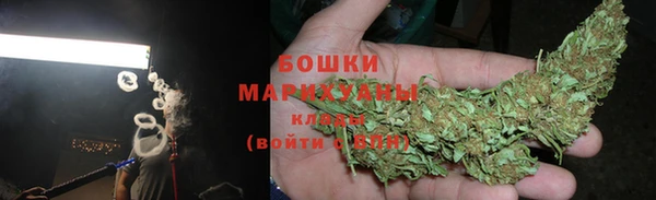 винт Бронницы