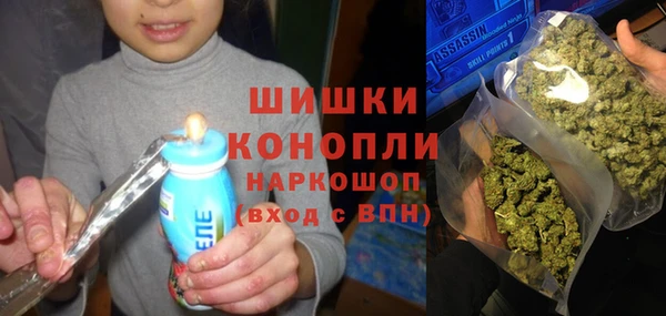 винт Бронницы