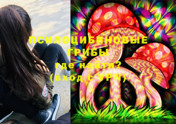 молекула духа Бугульма